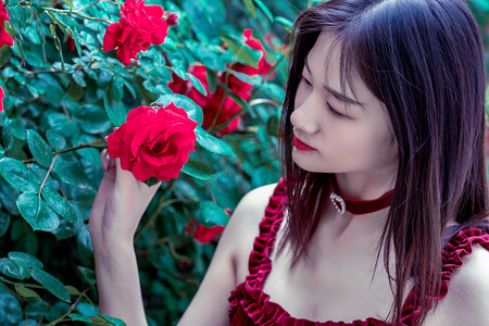 穿戈壁 越冻土 跨海洋 中国高铁驰骋多样环境